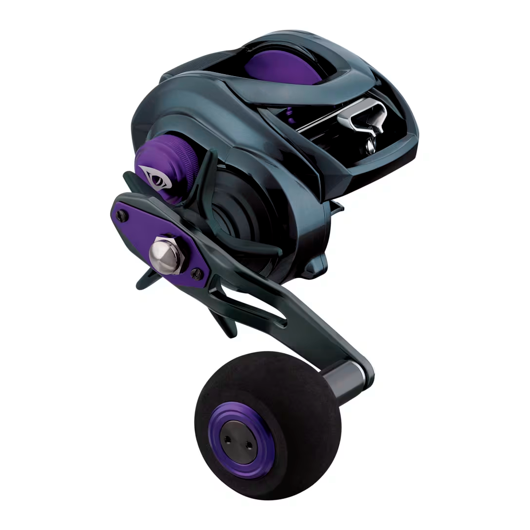 Prorex TW Baitcast Reel